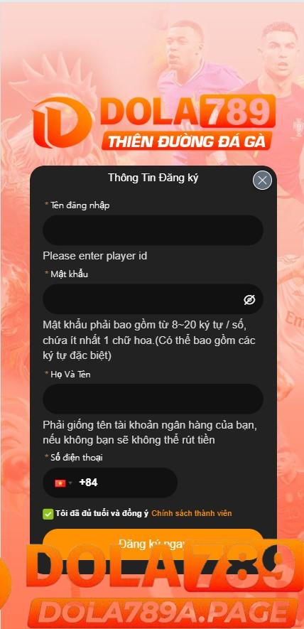 Lưu Ý Quan Trọng Khi Đăng Ký Dola789