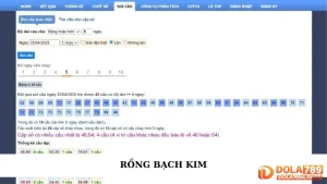 Rồng Bạch Kim